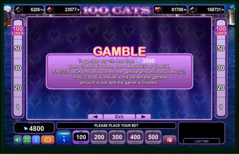 100 Cats Slot Machine Gamble Information Screen
