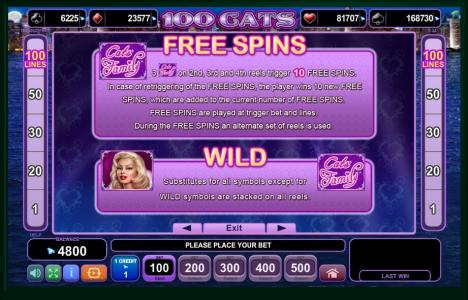 100 Cats Slot Machine Free Spins Bonus and Wild Screen