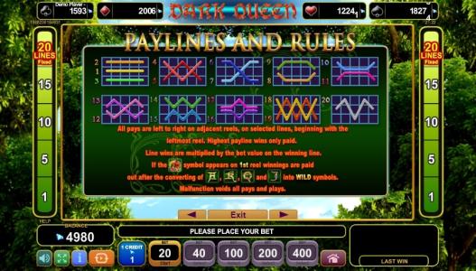 Dark Queen Slot Machine Paylines Screen