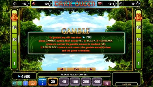 Dark Queen Slot Machine Gamble Information Screen
