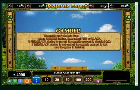 Majestic Forest Slot Machine Gamble Information Screen
