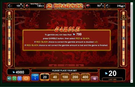 2 Dragons Slot Machine Gamble Information Screen