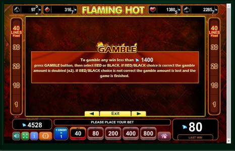 Flaming Hot Slot Machine Gamble Information Screen