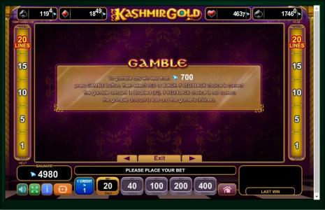 Slot Machine Gamble Information Screen