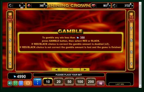 Shining Crown Slot Machine Gamble Information Screen