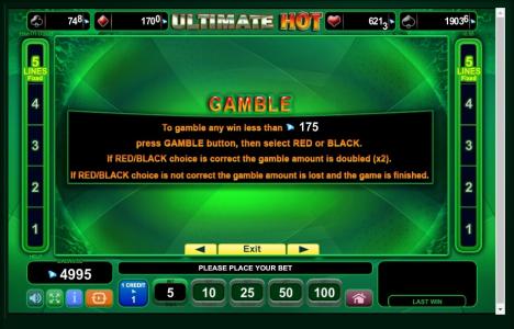 Ultimate Hot Slot Machine Gamble Information Screen