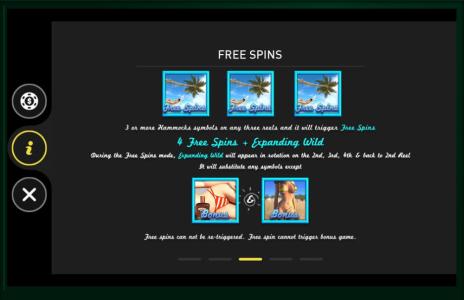 Bikini Beach Slot Machine Bonus Game and Symbol Screen