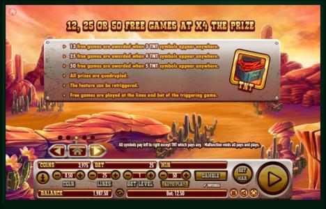 Coyote Crash Slot Machine Free Games Information Screen