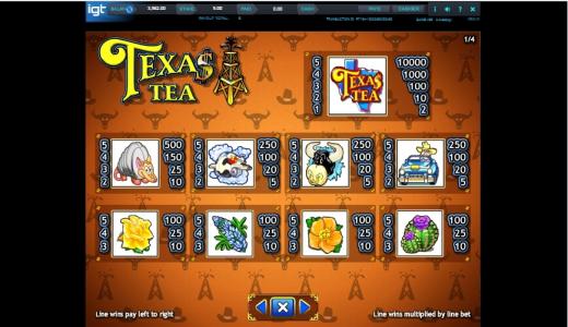Texas Tea Slot Machine Paytable Screen