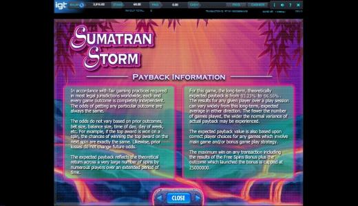 Sumatran Storm Slot Machine Playback Information Screen