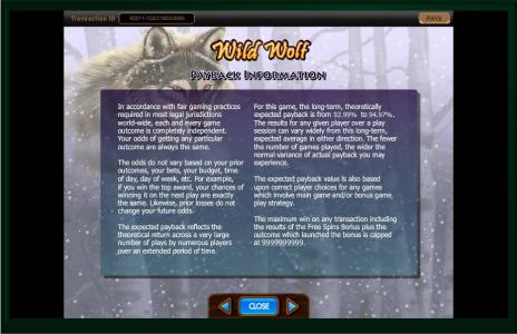 Wild Wolf Slot Machine Playback Information Screen