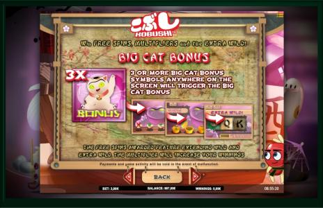 Kobushi Slot Machine Big Cat Bonus Feature Screen