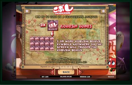 Kobushi Slot Machine Bonus Feature Screen