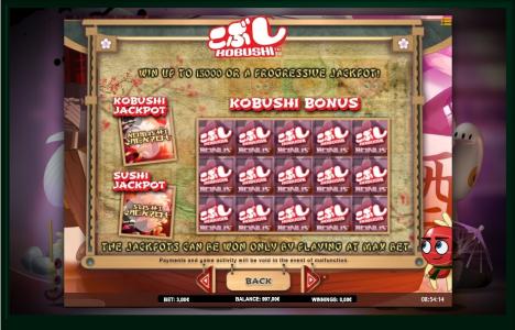 Kobushi Slot Machine Jackpot Feature Screen
