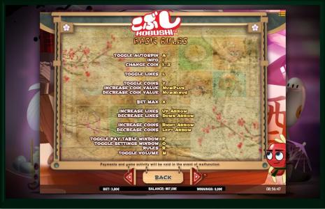 Kobushi Slot Machine Basic Rules Screen