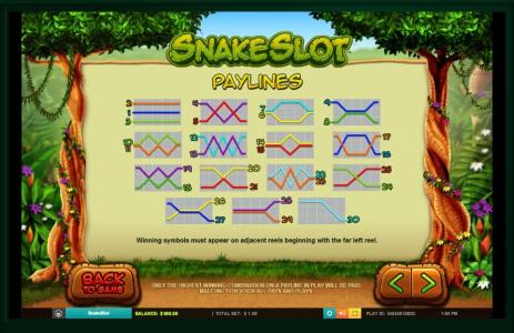Snake Slot Machine Paylines Screen