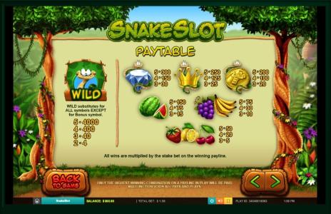 Snake Slot Machine Paytable Screen