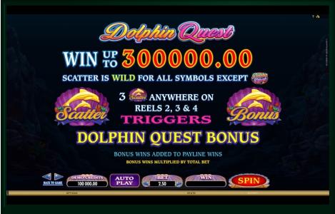 Dolphin Quest Slot Machine Scatter Awards and Wild Symbol Screen