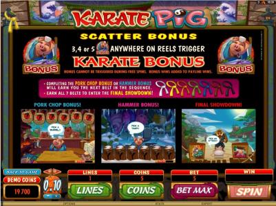 Karate Pig Slot Machine Karate Pig Bonus Features Screen