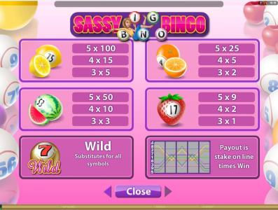 Sassy Bingo Slot Machine Paytable and Paylines Screen