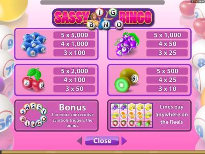 Sassy Bingo Slot Machine Paytable and Paylines Screen