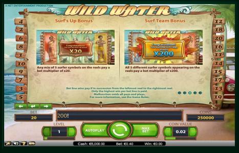 Wild Water Slot Machine Bonus Symbol Screen