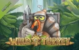 Wild Turkey slot logo