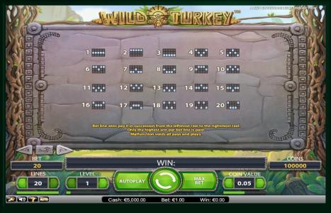 Wild Turkey Slot Machine Paylines Screen