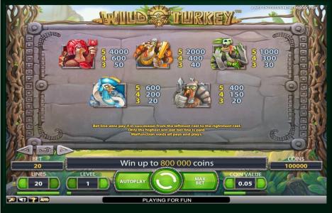 Wild Turkey Slot Machine Paytable Screen