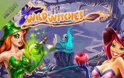 Wild Witches slot logo