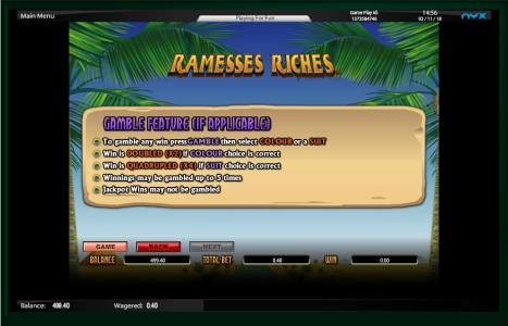 Riches Slot Machine Gamble Feature Overview Screen