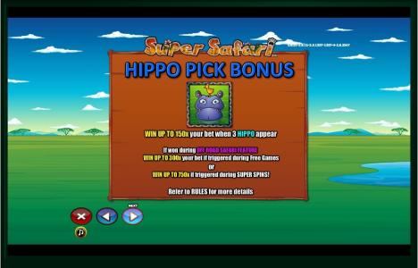 Super Safari Slot Machine Bonus Screen