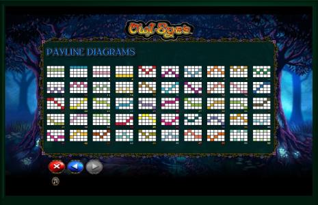 Owl Eyes Slot Machine Paylines Screen