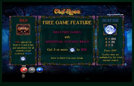 Owl Eyes Slot Machine Free Game Feature and Wild Symbol Screen