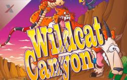 Wildcat Canyon slot logo
