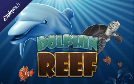 Dolphin Reef slot logo