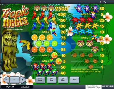 Tropic Reels Slot Machine Paytable Screen