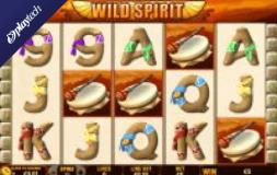 Wild Spirit slot logo