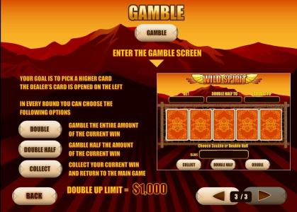 Wild Spirit Slot Machine Gamble Feature Screen