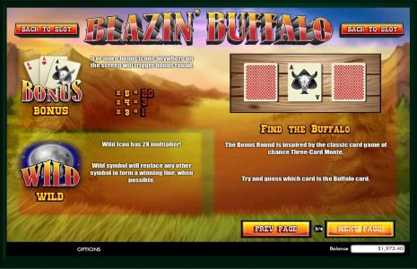 Blazin Buffalo Slot Machine Bonus Round and Wild Symbol Information Screen