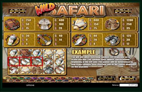 Wild Safari Slot Machine Paytable Screen