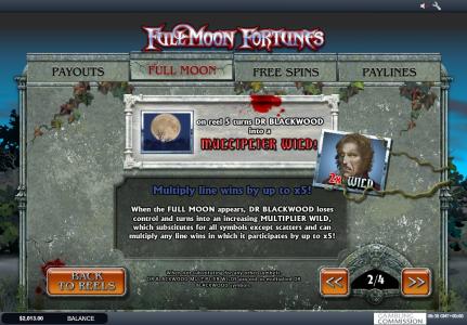 Full Moon Fortunes Slot Machine Wild Explanation Screen