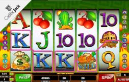 Geckos Gone Wild slot logo