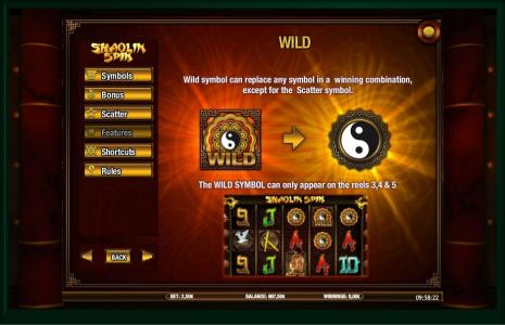 Shaolin Spin Slot Machine Wild Symbol Screen