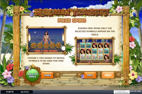 Hawaiian Treasure Slot Machine Free Spins Bonus Screen