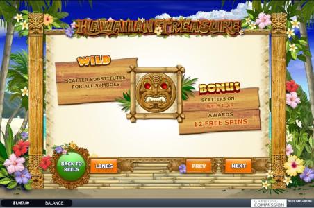 Hawaiian Treasure Slot Machine Free Spins Bonus Screen