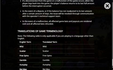Booming Bananas Slot Machine Translations of Game Terminology Screen