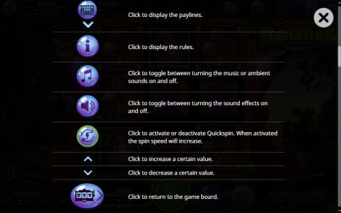 Booming Bananas Slot Machine Game Fields Information Screen