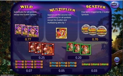 Booming Bananas Slot Machine Scatter Awards and Wild Symbol Screen