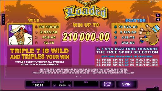 Loaded Slot Machine Scatter Awards and Wild Symbol Screen